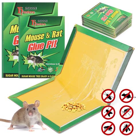 sticky mouse traps